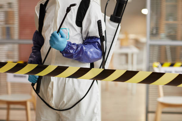 Professional Sewage Cleanup technician working in Dwight, NE